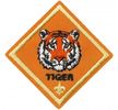 Tiger patch.  The patch is orange with the head of a tiger above T-I-G-E-R and a fleur de lis.