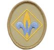 Webelos Patch.  A light brown patch with a yellow and light blue corn stalk.