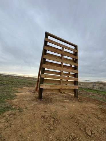 12' Confidence Climb (Log Top)