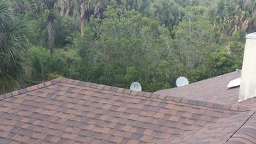Brown shingled roof with chimney and surrounding trees.