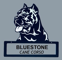 Bluestone Cane Corso
