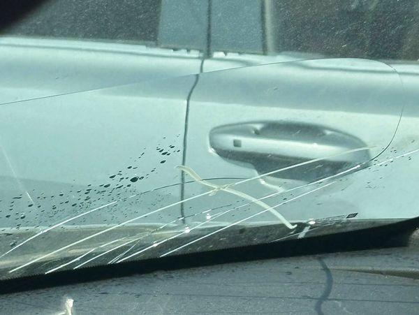 Close-up of a car door with visible scratches and stains.