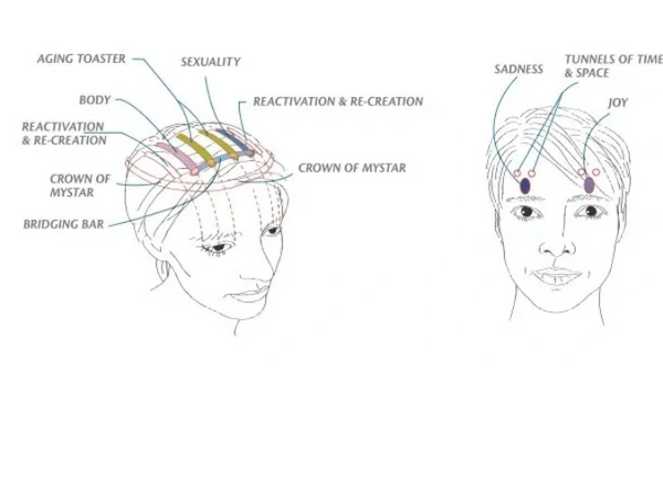 Access Consciousness Bars  32 points on Head picture 2