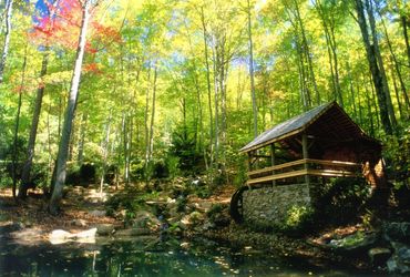 A serene forest scene with a wooden gazebo by a pond.