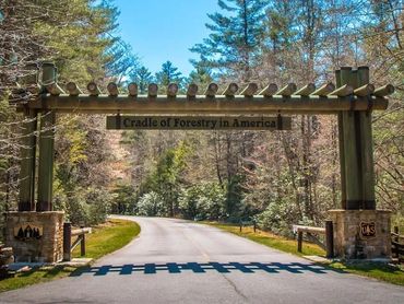 Entrance archway reading 'Cradle of Forestry in America' on a forest road.