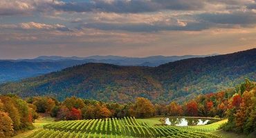 A vineyard sits amidst autumn-colored hills under a cloudy sky.