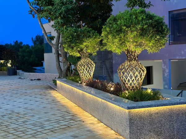 Decorative illuminated trees in a modern outdoor planter at dusk.