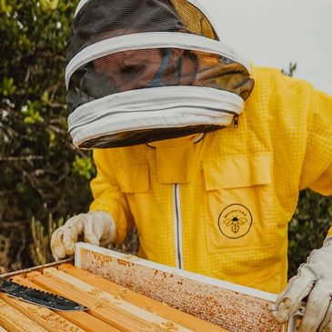 Providing insight, coaching, and guidance to amateur and hobby beekeepers around San Diego County.  