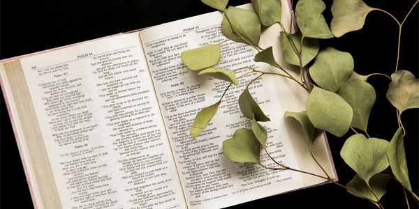 Grafted In Ministry Biblical Teaching and Study