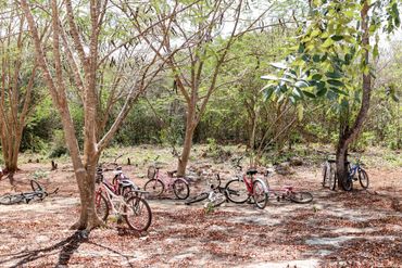 El Parque de la Ciencia Dzán Yucatán LAAR Arquitectura Cecilia Alcocer Diego Lizama