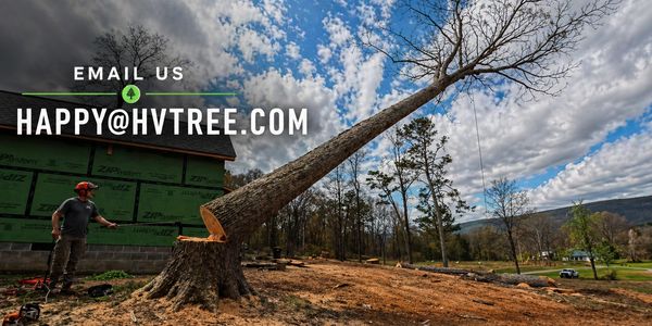 Happy Valley Tree Care and Removal gallery 4