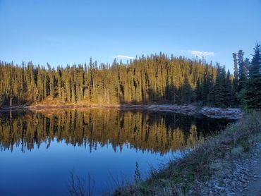 Forest lake reflection symbolizing awareness.