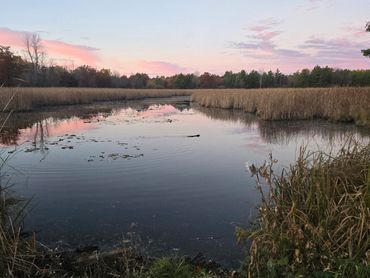 Warm evening light over nature representing reflection and hope.