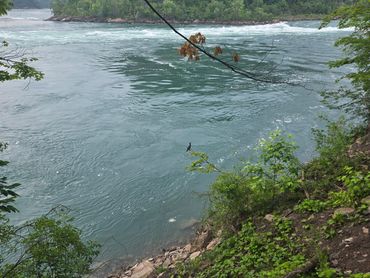 Powerful rapids beneath towering cliffs, representing resilience, grounding, and transformation.