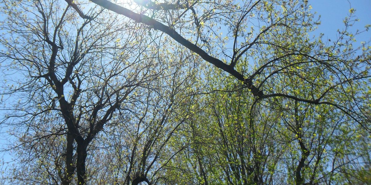A peaceful reminder to slow down and reconnect with yourself.