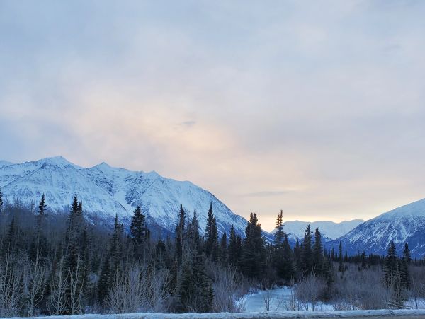 Snowy mountain range with pine trees under a cloudy sky.