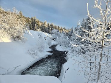 A winter river representing resilience, movement, and renewal.