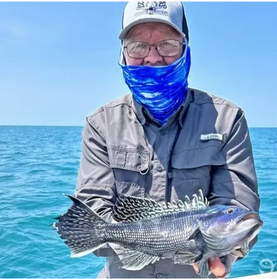 ocean city fishing report