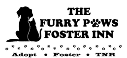 The Furry Paws Foster Inn