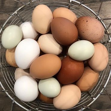 Farm Fresh Chicken Eggs