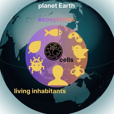 Illustration of Earth's living organization from cells to ecosystems.