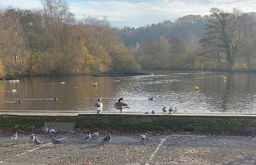 Etherow Country Park 26 11 2023 lead by Sandra. Approx 11miles.