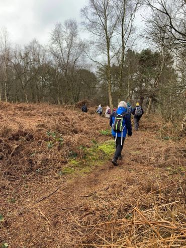 Lovely 8 mile walk through the Cheshire countryside. 21 of us out. Enjoyable lunch at the Golden Phe