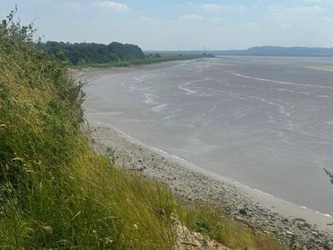 Mersey looked impressive