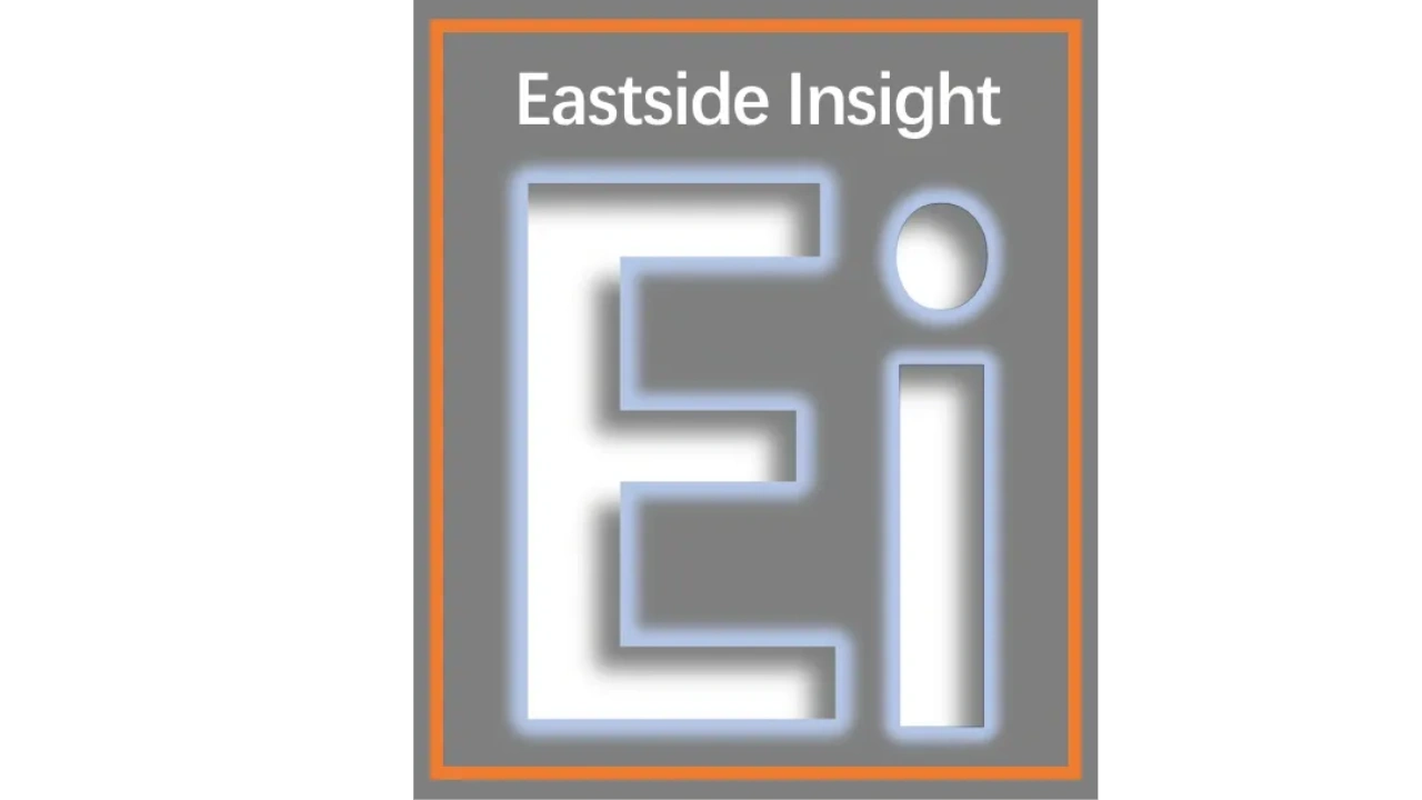 The Logo of Eastside Insight, A Big E and Little I