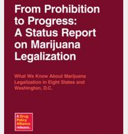 social justice, marijuana, marijuana legalization, human rights