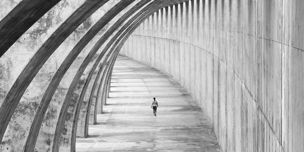 IBM Tririga implementation and support services.