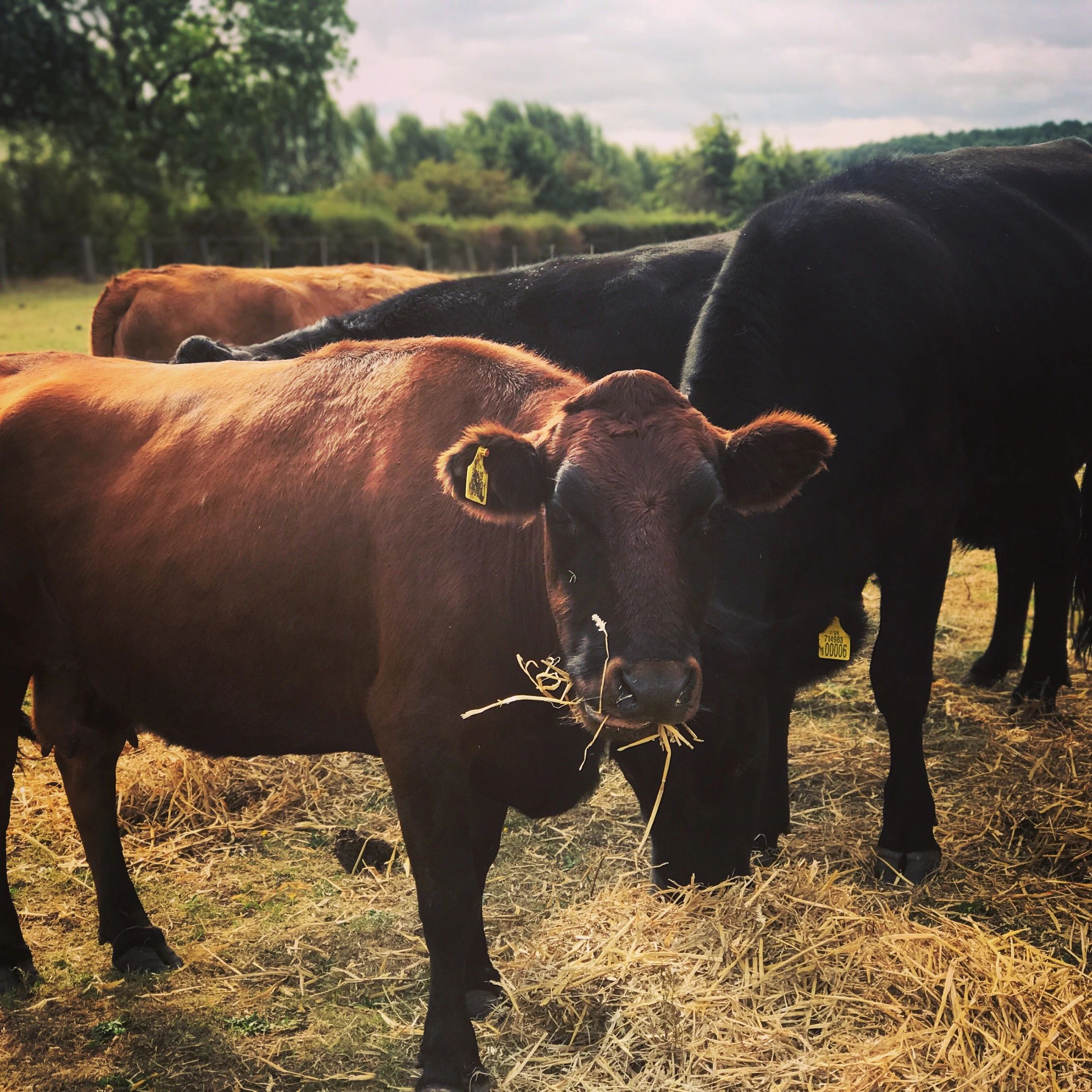 Coton House Farm Wedding Venue, Venue, Wedding Reception