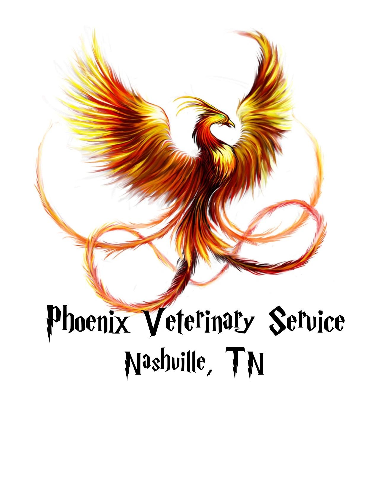 Phoenix Veterinary Service: Mobile Vet Nashville, TN