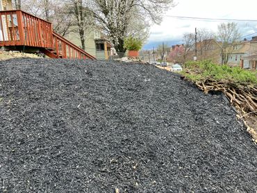 Freshly laid mulch