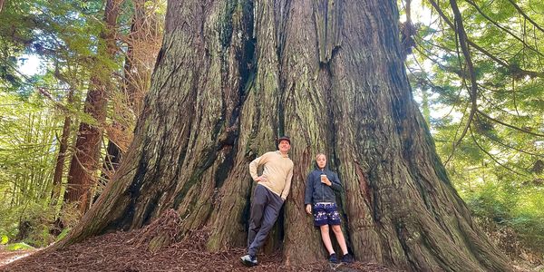 A man and a boy standing in front of a Redwood tree