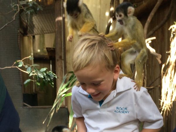 Boy smiling with two spider monkeys on shoulder