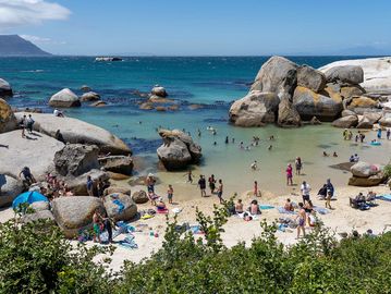 Trees, white sand, and turquoise water with boulders in the ocean