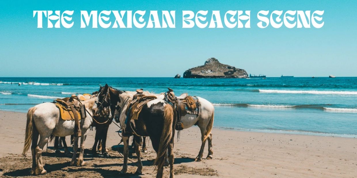 A group of horses with saddles on standing on a beach with ocean and islands in the background