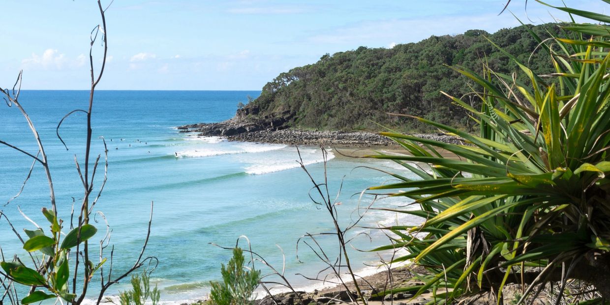 An ocean bay with with trees all around it