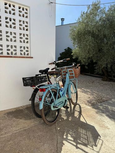 Two bicycles parked beside a white wall in a sunny outdoor area.