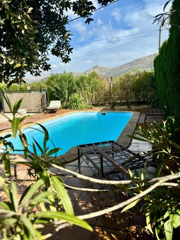 Sunny backyard with a blue swimming pool and lounge chairs surrounded by greenery.