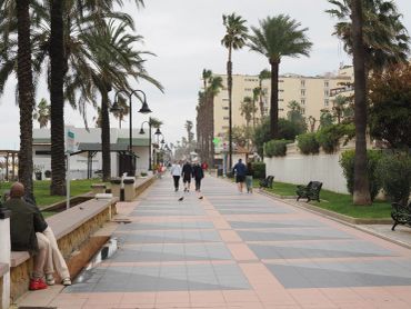 People walking along a palm-lined promenade near the beach on an overcast day.