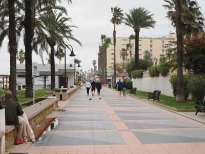People walking along a palm-lined promenade near the beach on an overcast day.