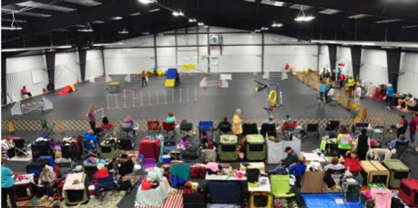 Indoor dog agility competition with spectators and participants.