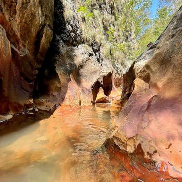 A serene rocky gorge with clear flowing water and sunlight filtering through.