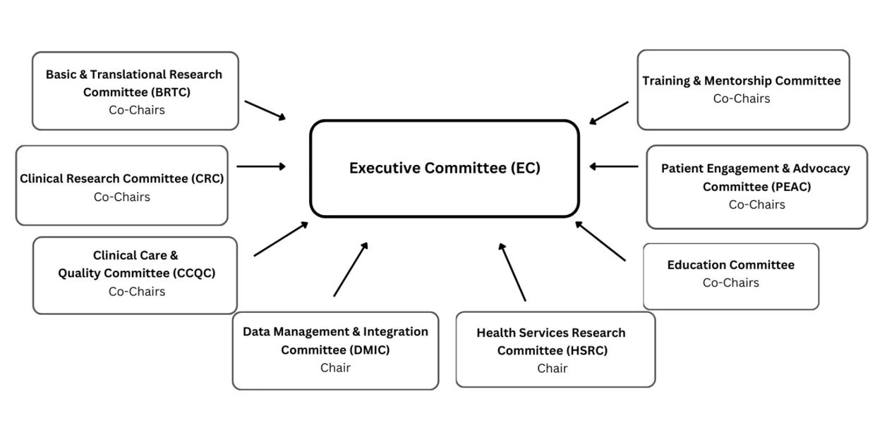 flow chart showing CIDsCaNN committees