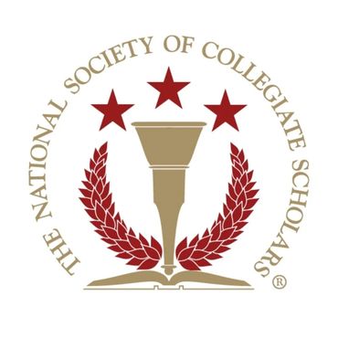 National Society of Collegiate Scholars at Full Sail U. Frank Piccolella, former VP: Social Media.