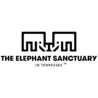 Elephant Sanctuary in Tennessee