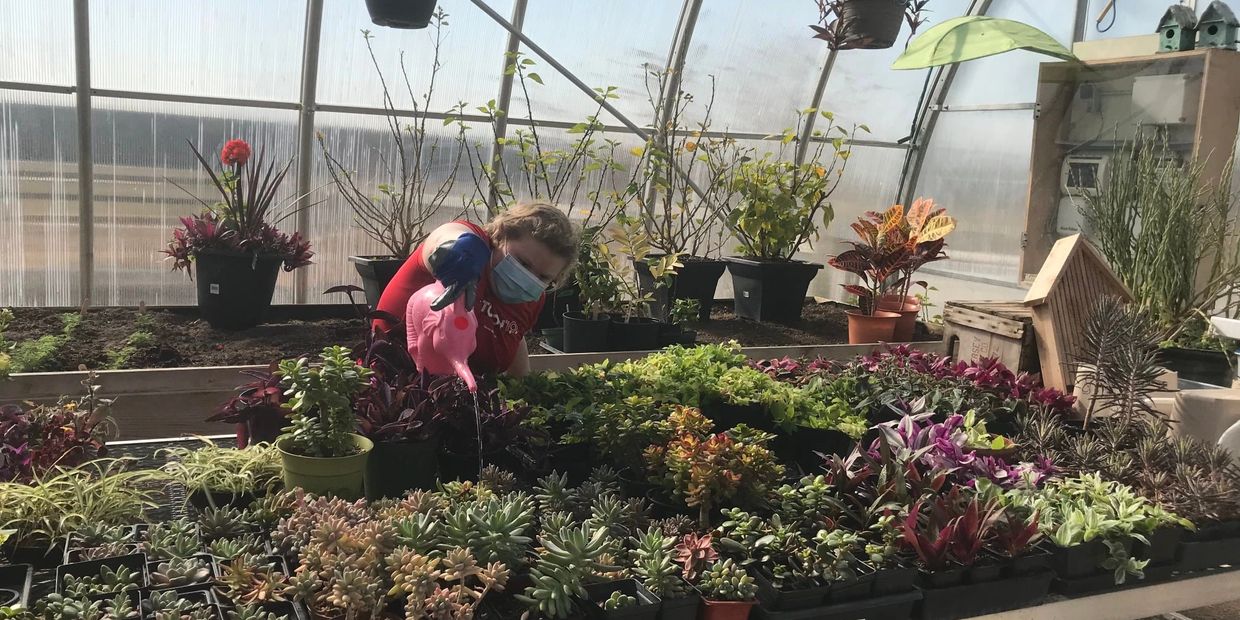 Person supported watering plants in the Aptus Teaching Landscape greenhouse