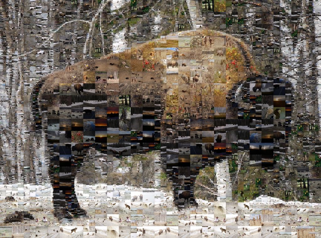 photographic mosaic by Dianne Ouellette